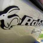 Rabbit Emblem..