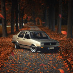 Mein Jetta im Herbst