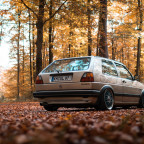 Golf 2 im Wald